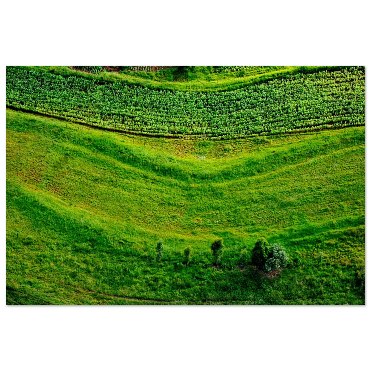 19ee5155-0b24-4601-a613-126fd3ca4e38