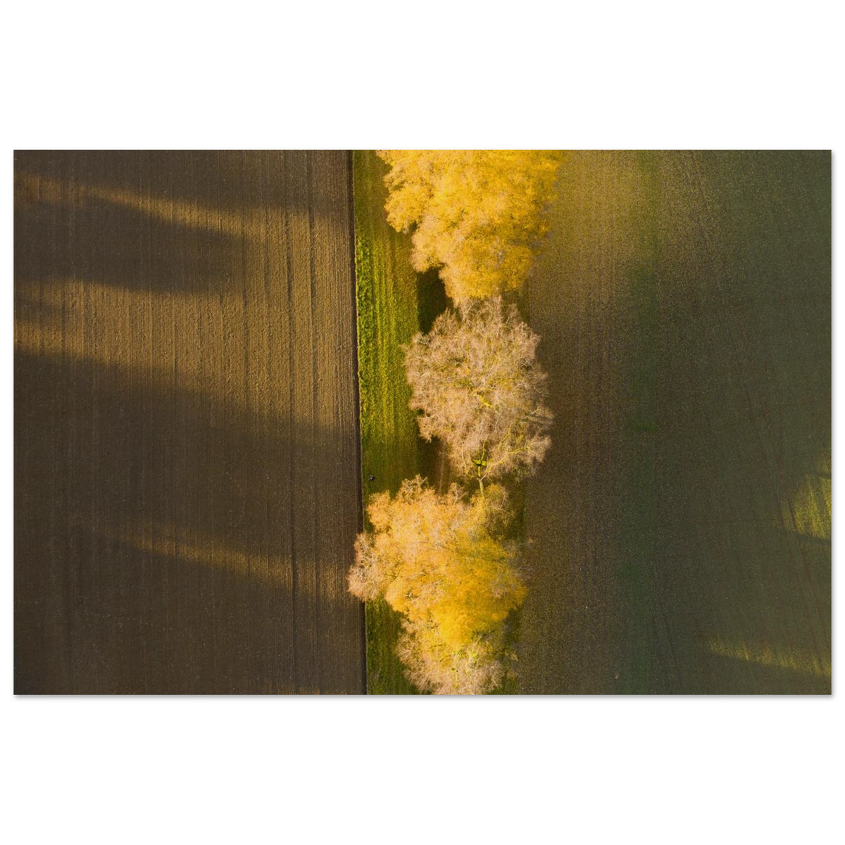 a67c29df-5632-43e9-a0cf-264a46afeaf0