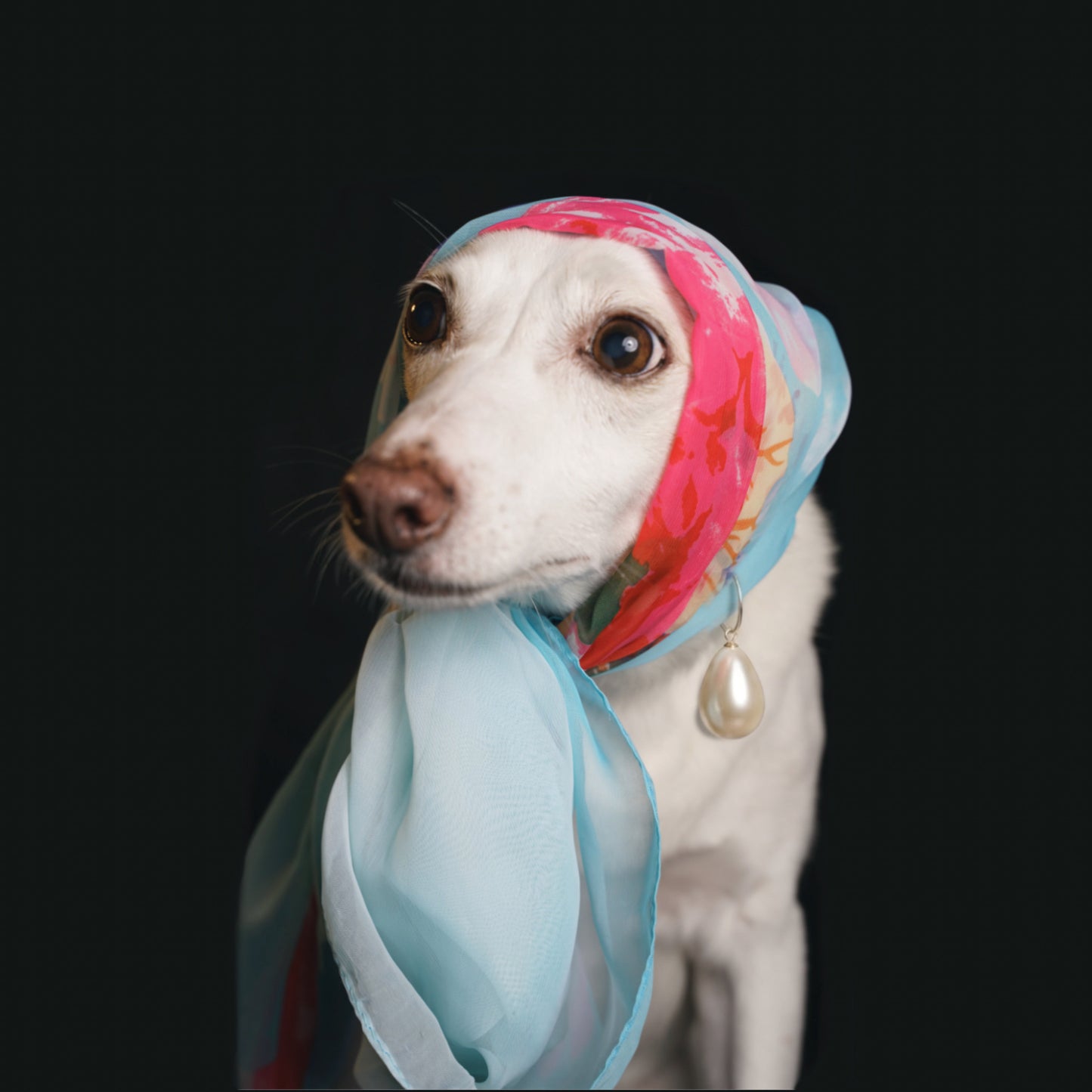 Girl with the pearl earring