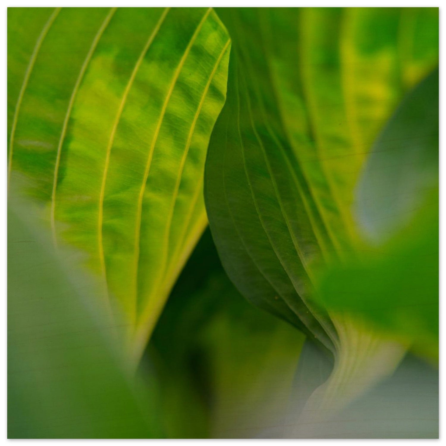c6a72570-d148-4f18-ab2f-57273dac3d01