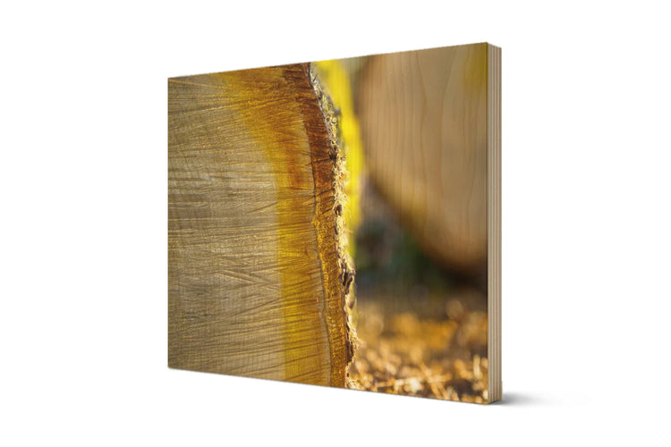 Lines of Time — Wood Print Mockup v2