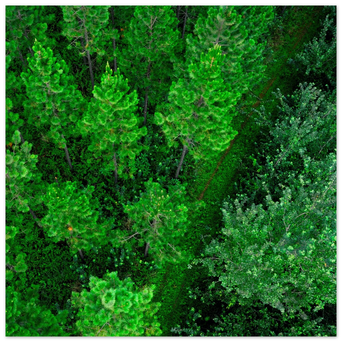 06c18650-26d5-4767-a7a4-ea1b42cdf694