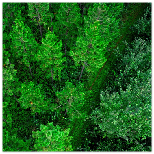 06c18650-26d5-4767-a7a4-ea1b42cdf694