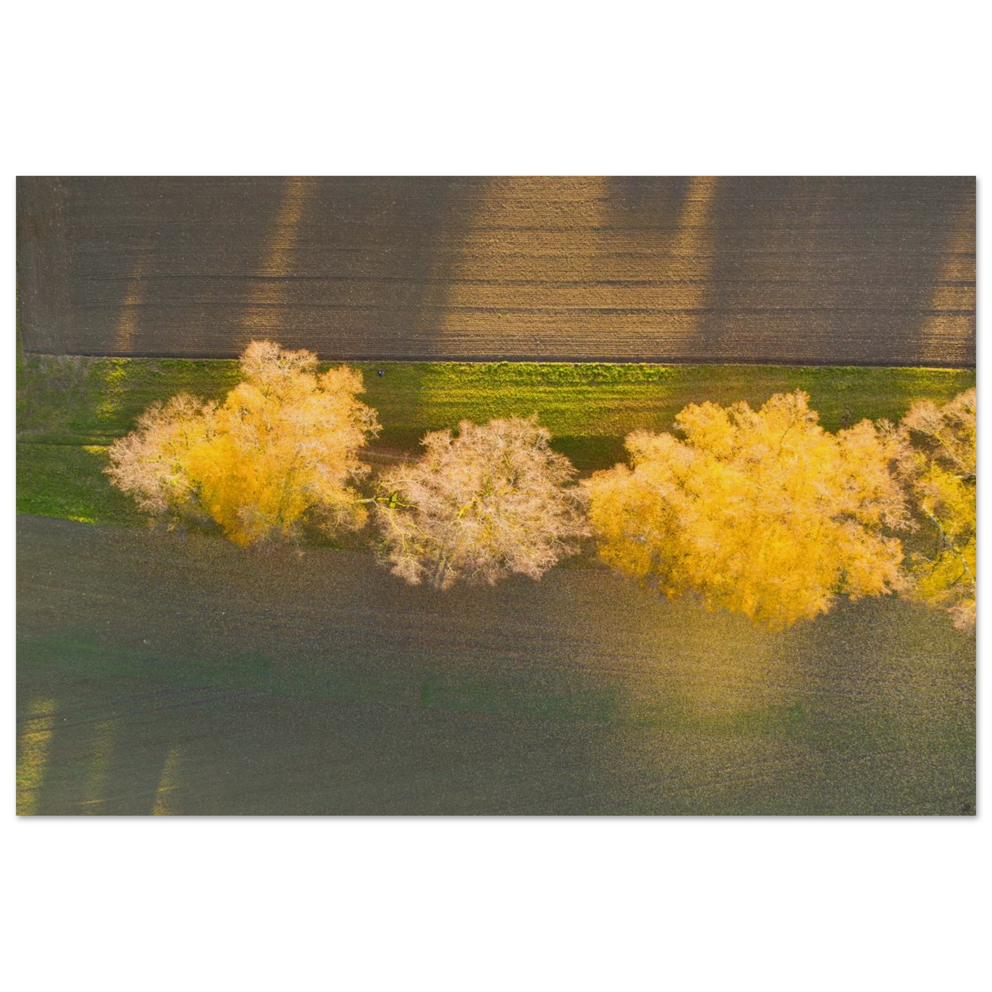 07fffb85-3d55-4864-bfef-c3e3d8e5ba12