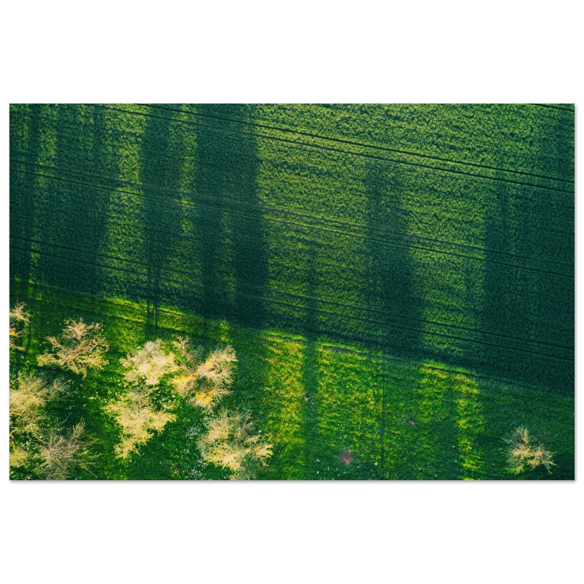 094f8c52-1e97-4bb9-b323-fbc23c8e416c