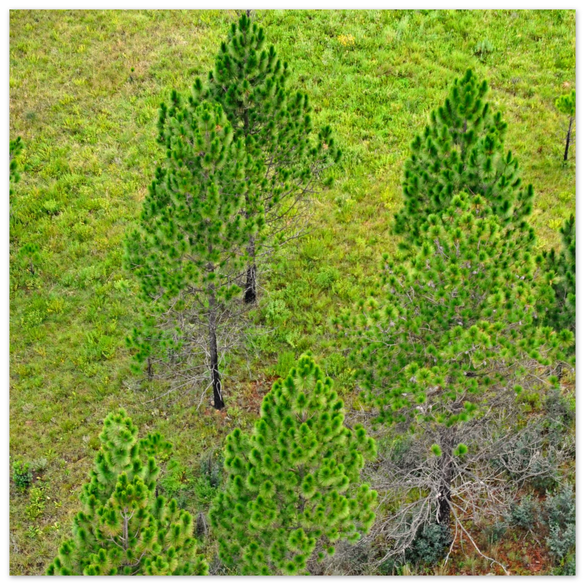 10f62d47-3ed6-4625-93bf-ced5b7cbd530