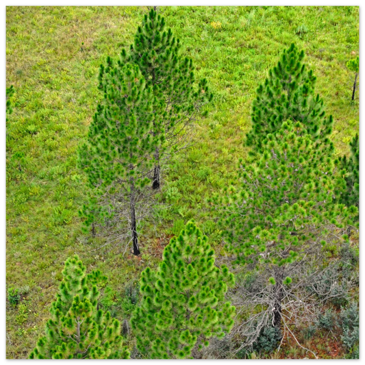 10f62d47-3ed6-4625-93bf-ced5b7cbd530