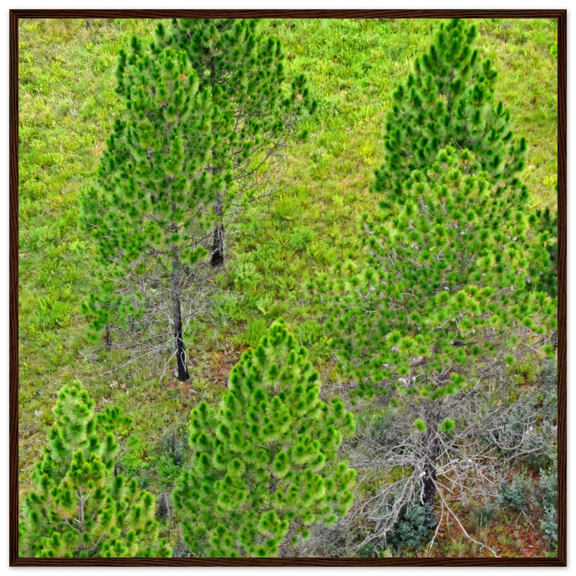27388612-13e3-4211-8ee9-1b89615c2705