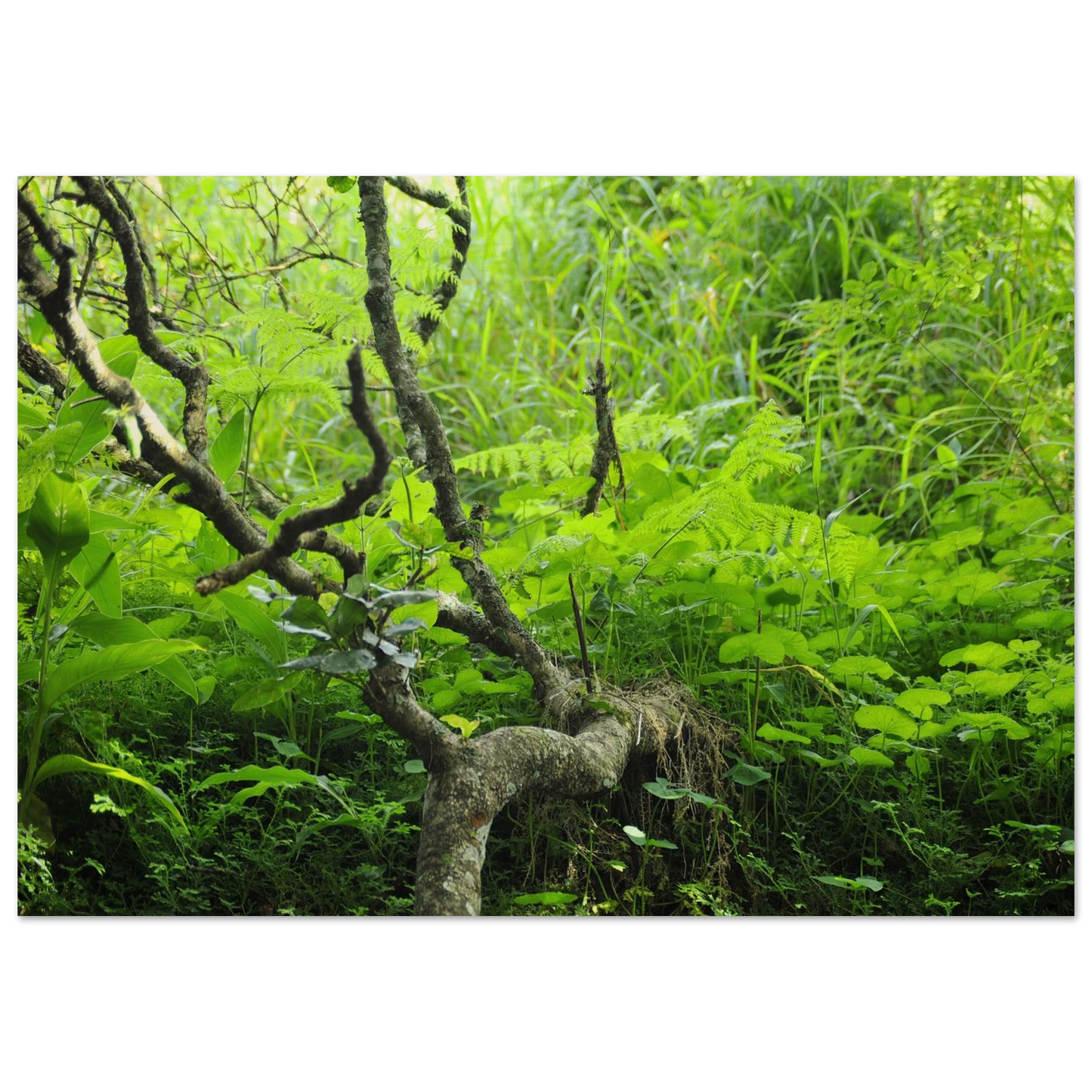 2c14a32a-2962-4ef6-a639-e7124c12c751