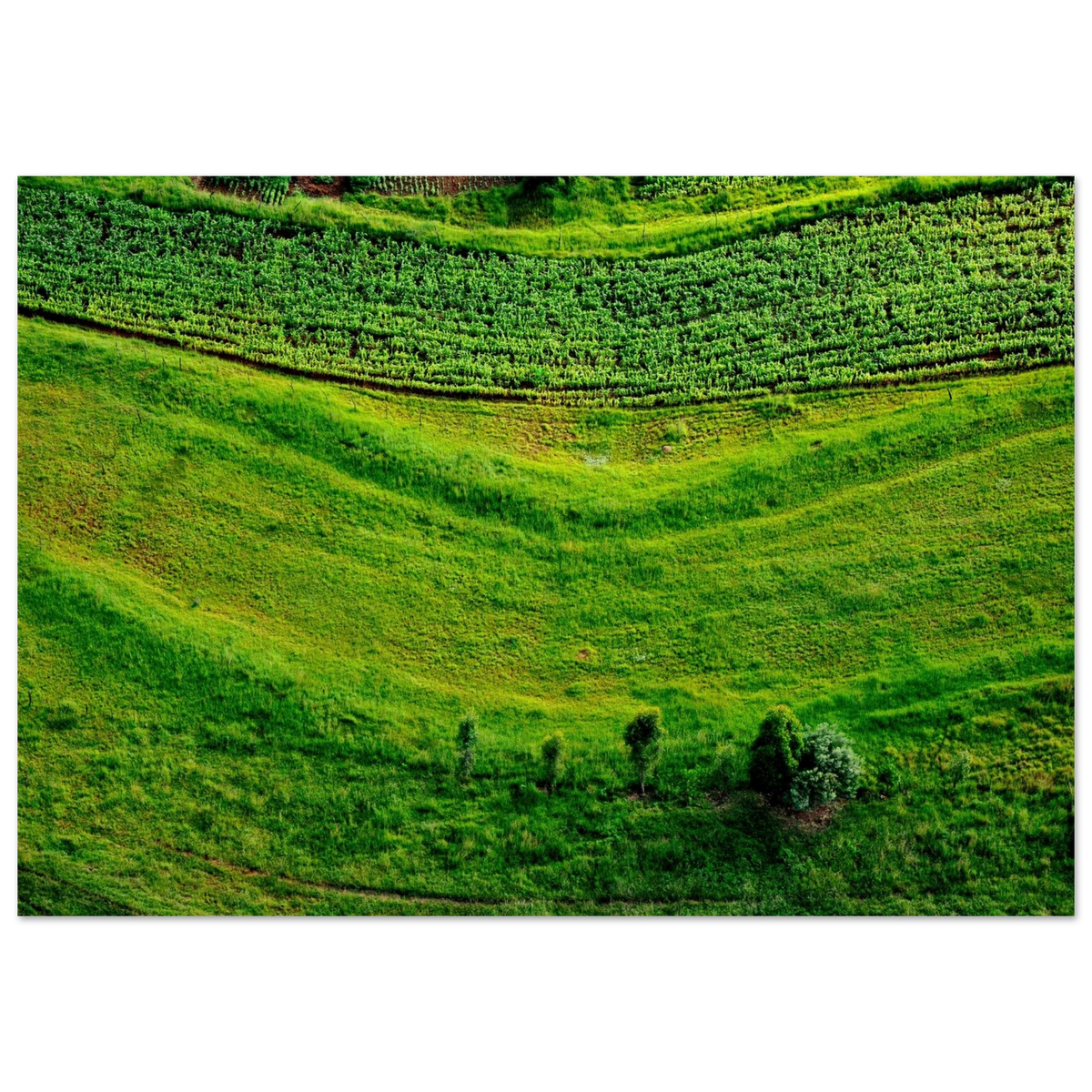 3cc627d7-0f2f-4f18-9296-71930584e326