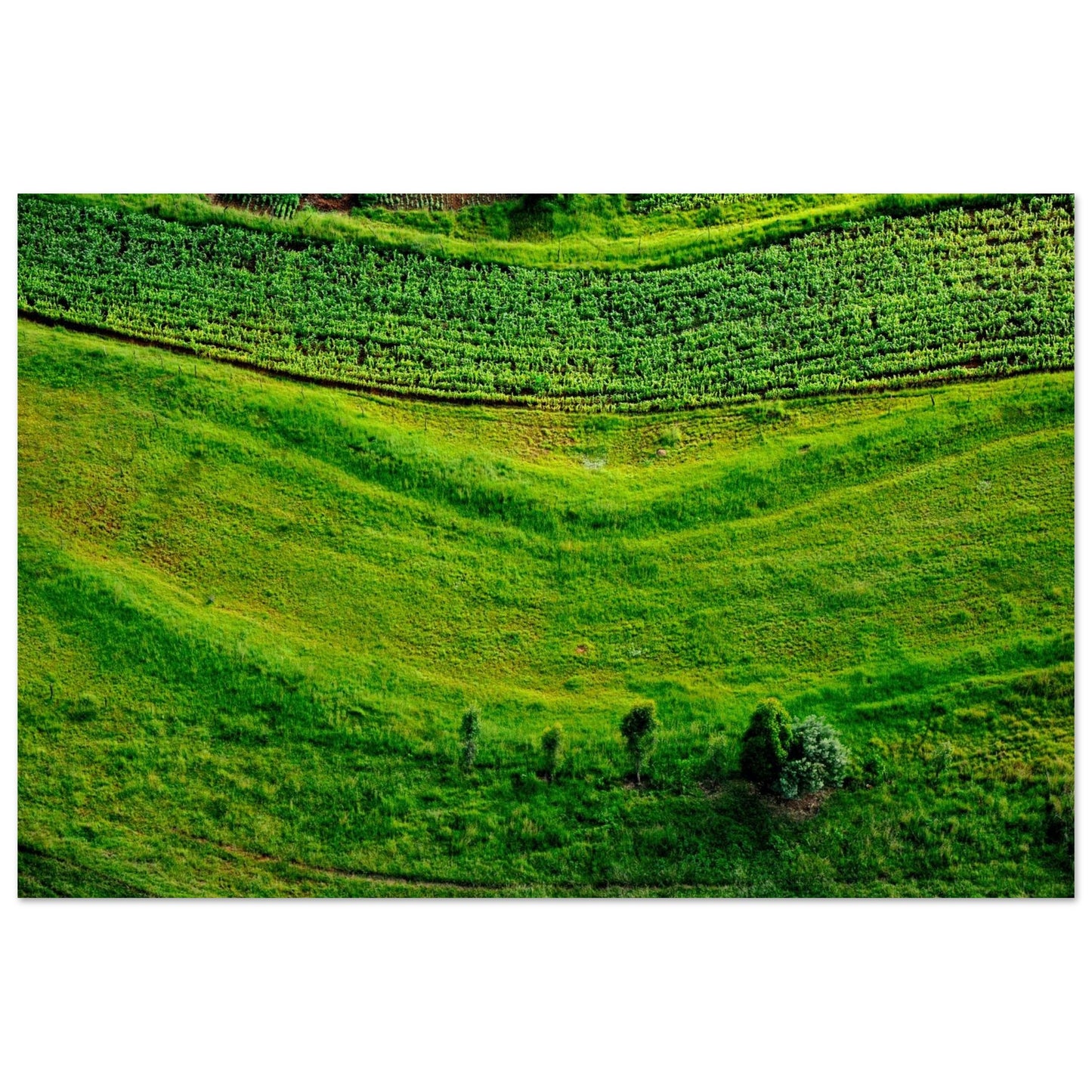 54040b25-2c20-410c-8e6c-e50b2247817d