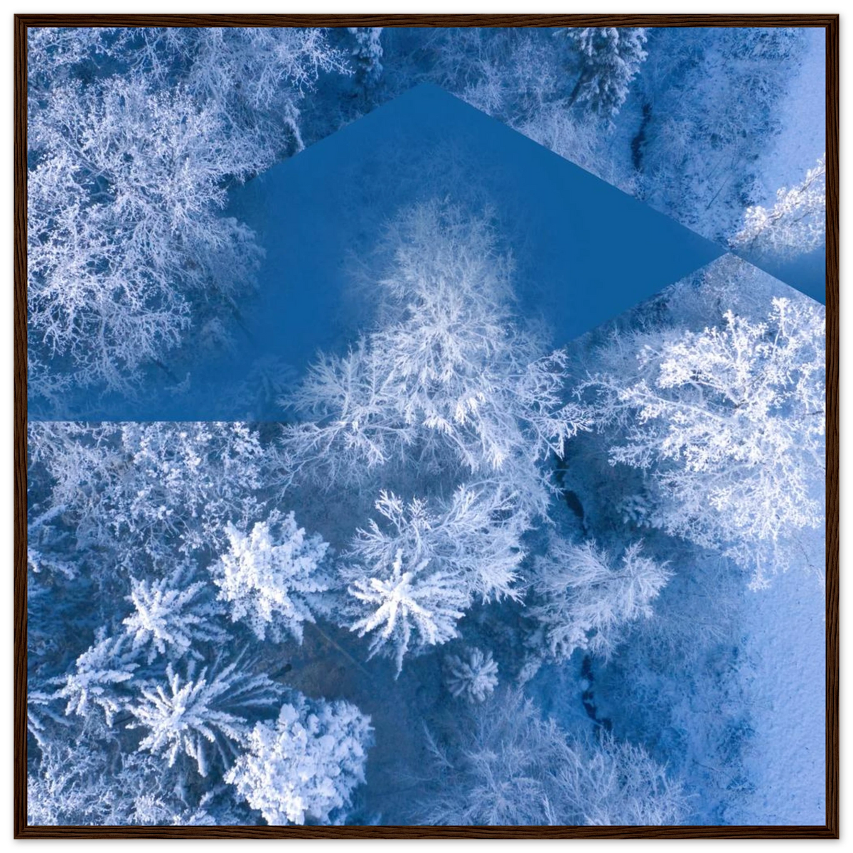 65b576c7-c3a7-4a96-8934-dd588d286a8a