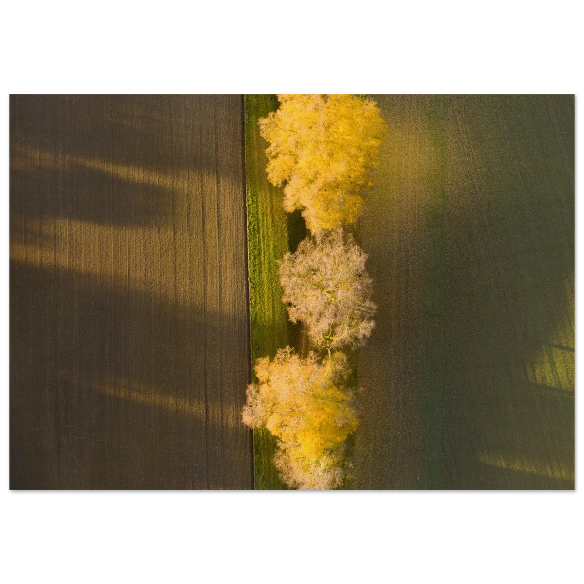 7e577614-a6e7-47f2-9d84-c2204b3a69df