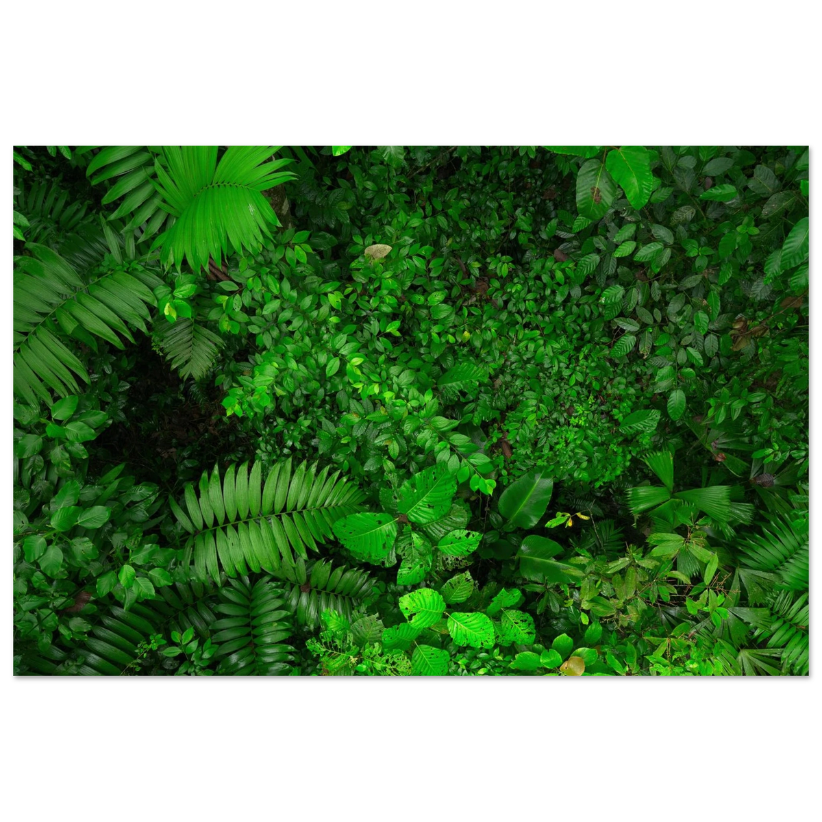 82ec0c53-b142-4309-a1d3-ab30a7b4cedb