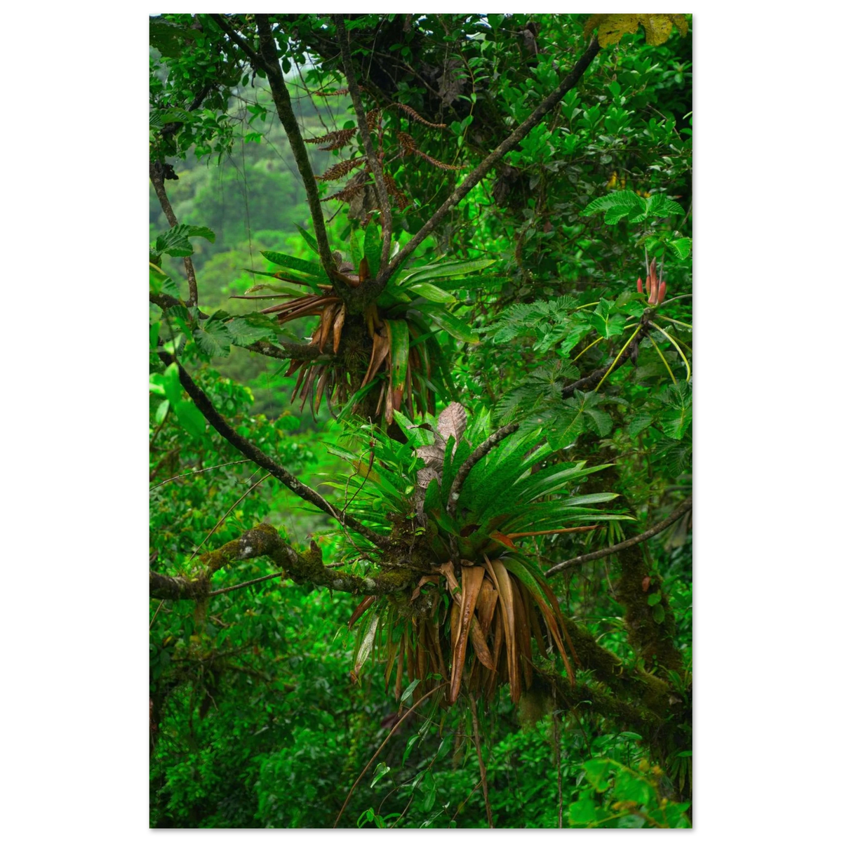 850e8cd7-9b34-4a2d-a14a-33921973deb5