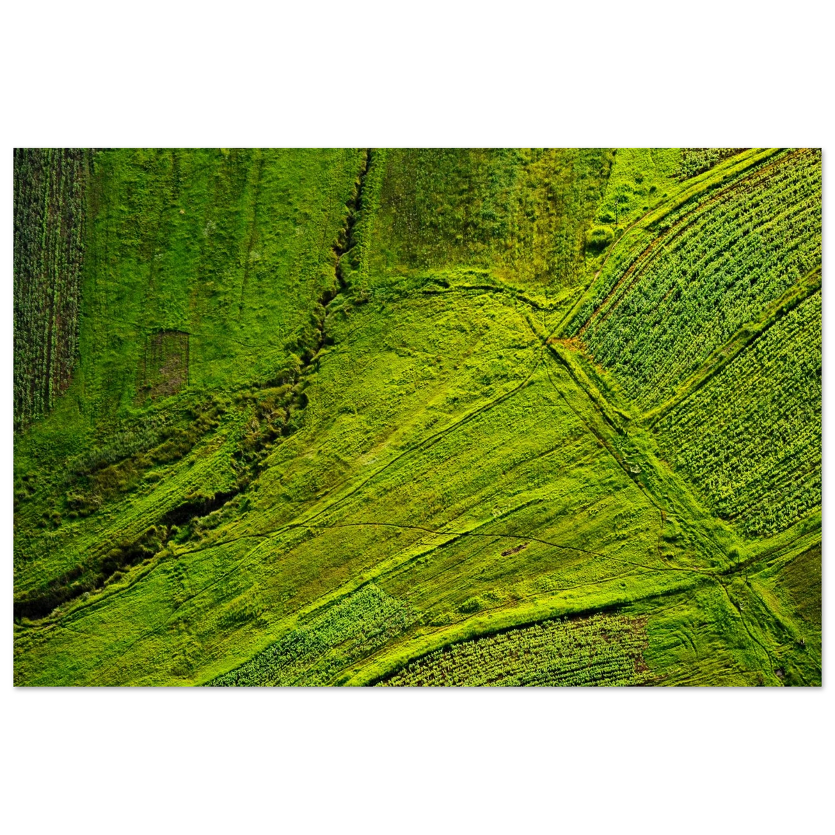 85e54e00-d187-4d34-a6a1-d586f542edd5