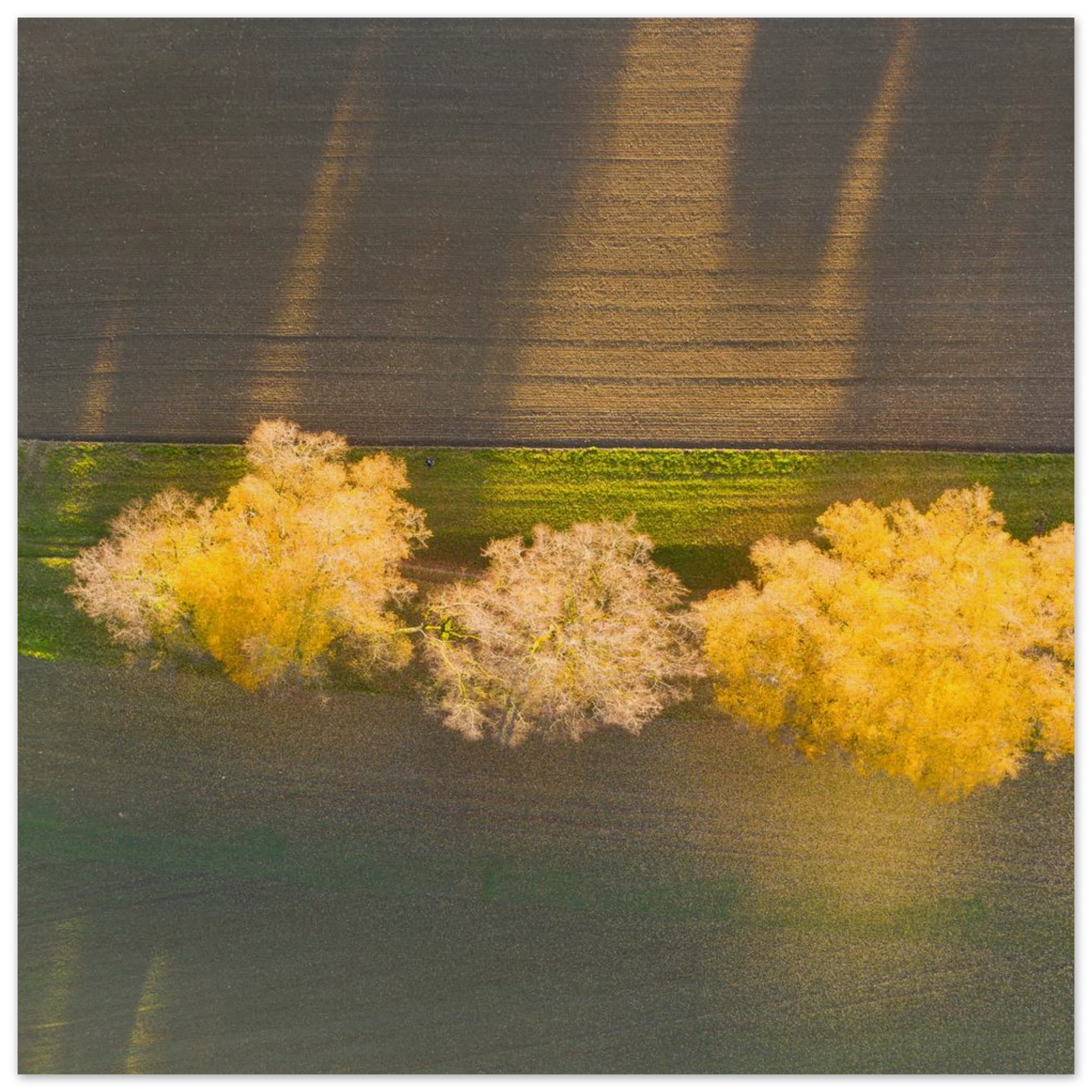 8c8404e7-889c-4bc2-b612-9c1f9818a49b