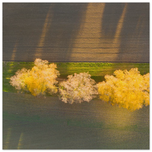 8c8404e7-889c-4bc2-b612-9c1f9818a49b