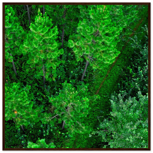 b2c7c45c-29df-4e93-a108-d19722bc9069