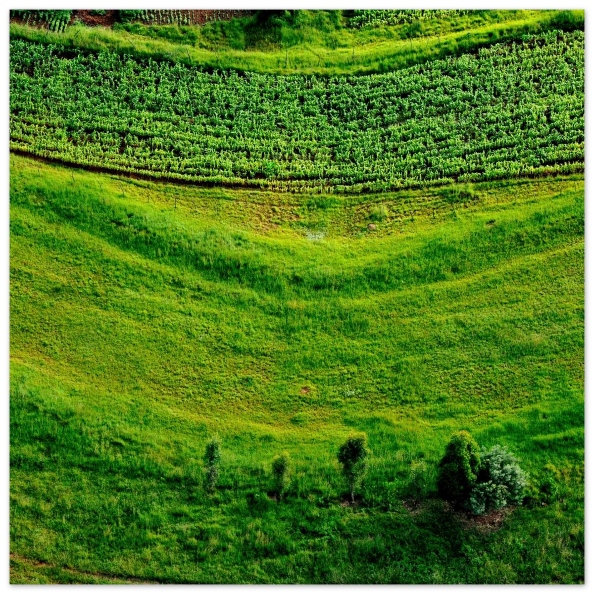 ba6692a9-d92c-4b68-8175-2363e3512b03
