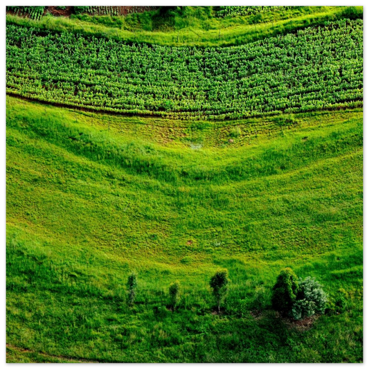 ba6692a9-d92c-4b68-8175-2363e3512b03