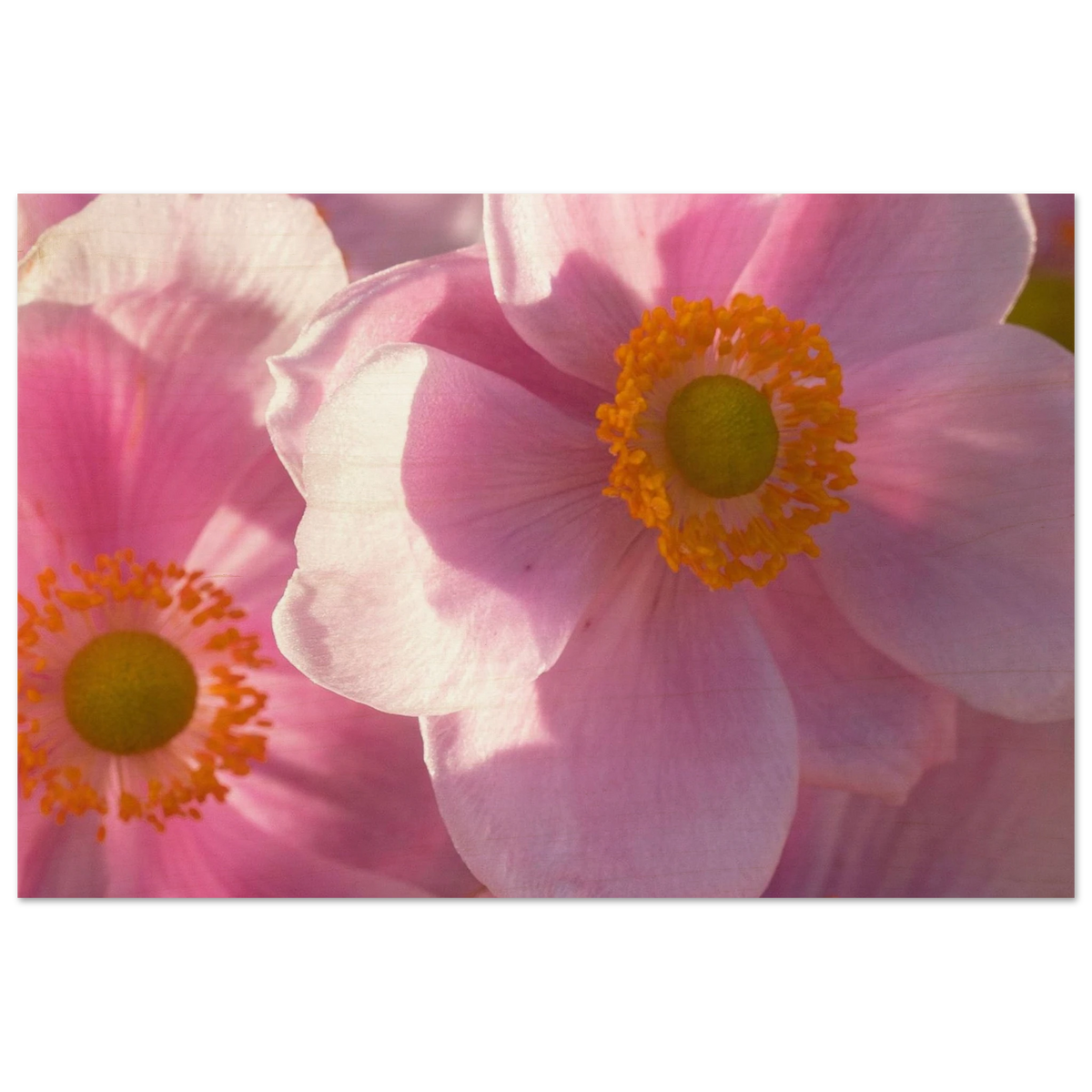 bc722986-a81c-4b54-bba7-dfadb238818e
