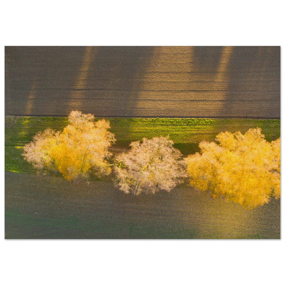bef5c0d6-b8ca-4a79-b078-87a899b2ddb6