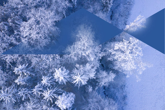 Dusted Trees