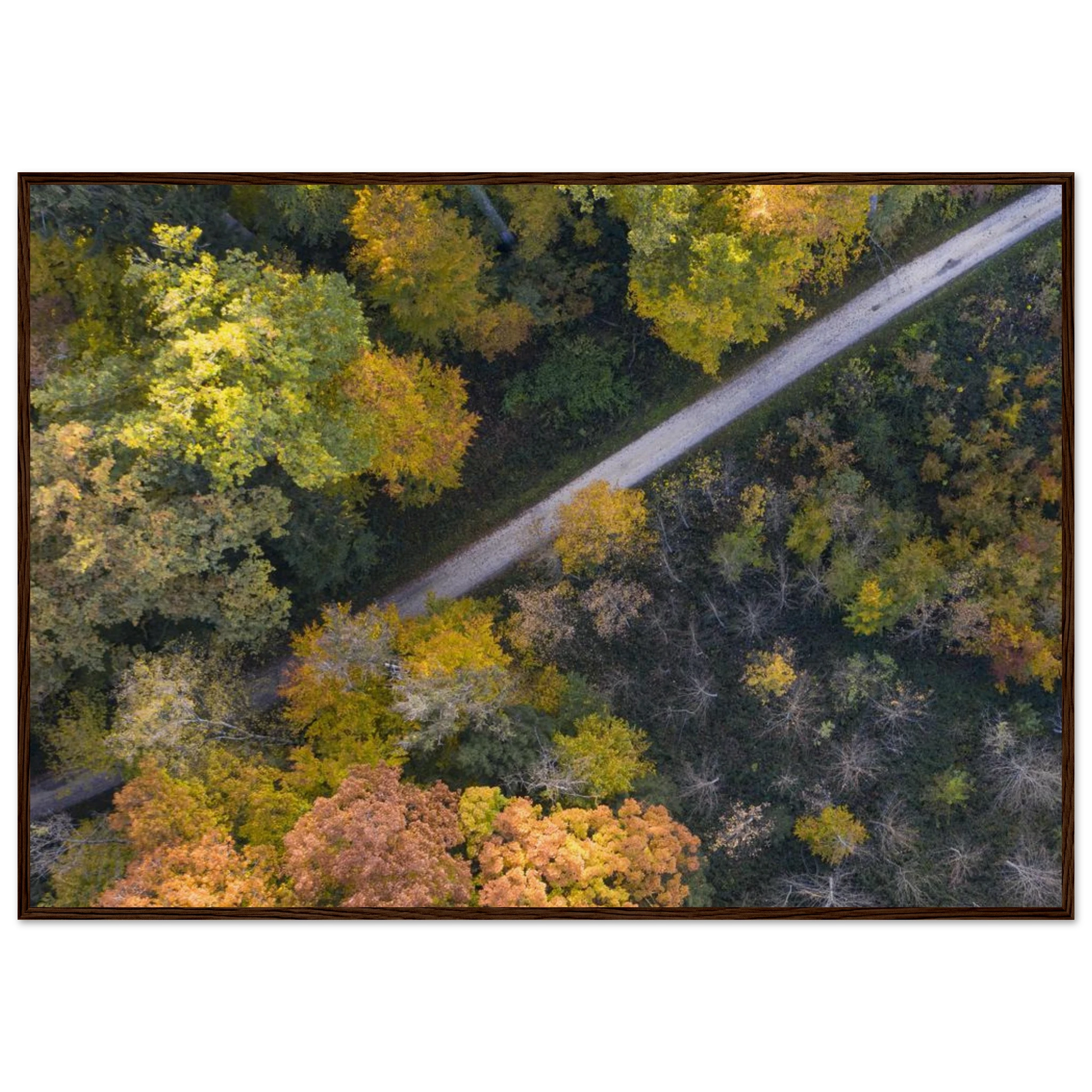 c4b873c6-e358-45b7-9c12-6b319a6ed961