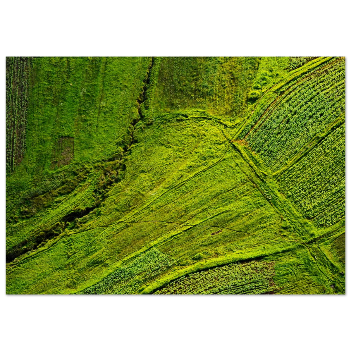 e8089d86-c841-4f49-8559-ed8a59d9774d