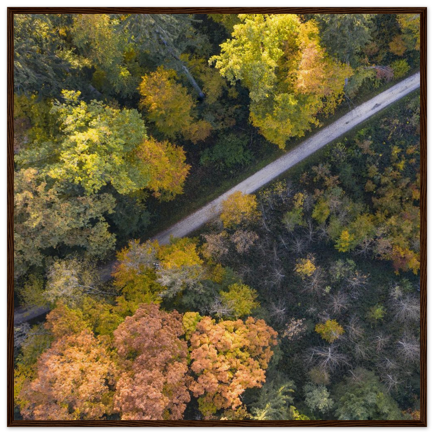 ec0977ee-fd33-4111-b9ee-84f512b7718b