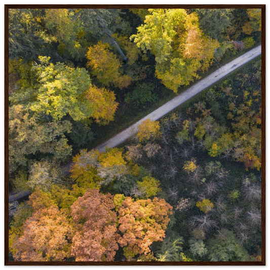 ec0977ee-fd33-4111-b9ee-84f512b7718b