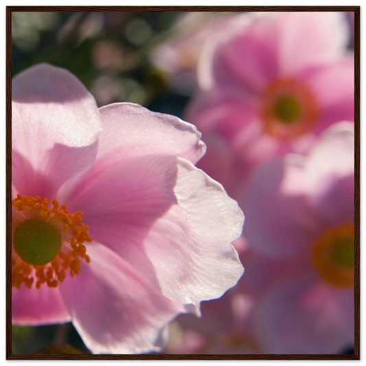 ed05cfee-b799-479a-a044-96867a357db3