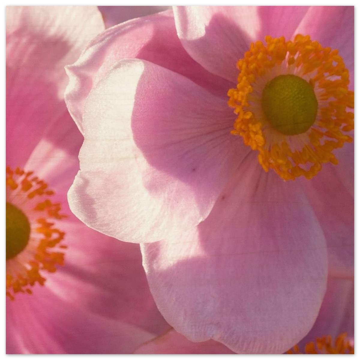 f077eaa6-d037-41ec-b109-4926a51f700f