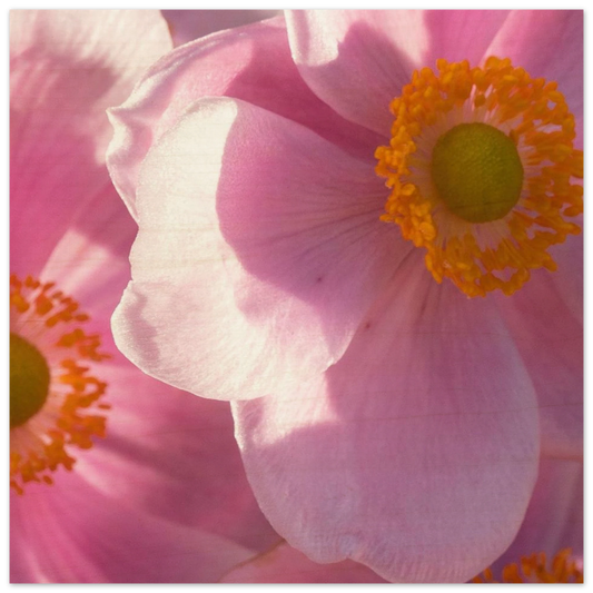 f077eaa6-d037-41ec-b109-4926a51f700f