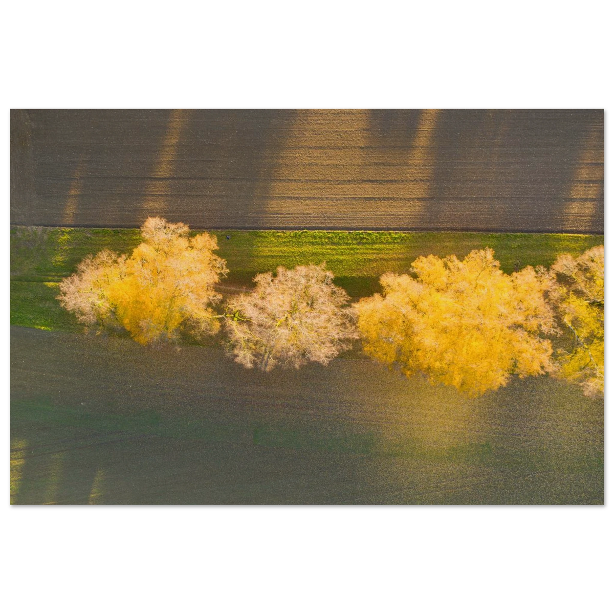 f21d6dd6-0474-4592-bf25-5d66da3be029