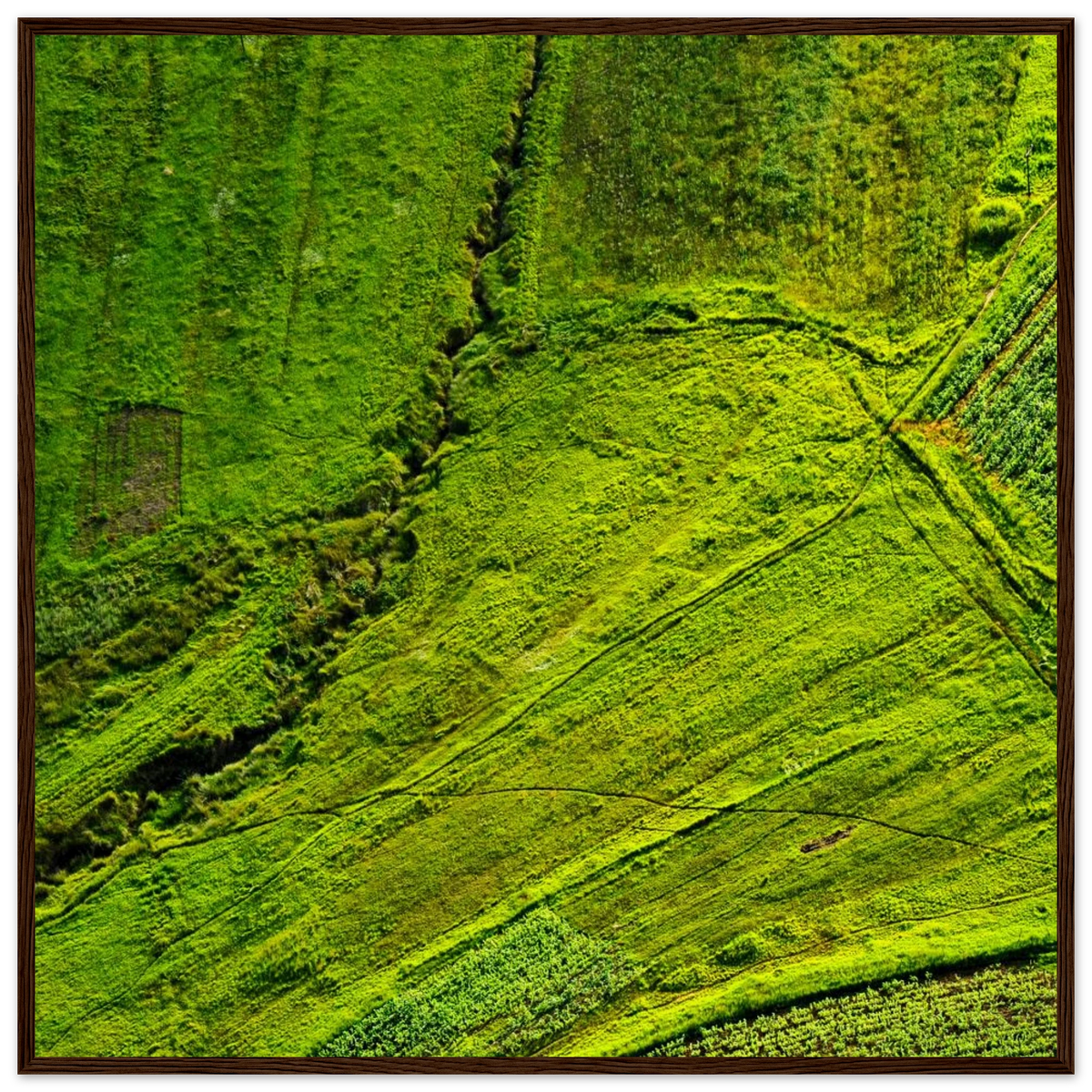 f56220f1-0198-4e2f-806a-1c6888904133