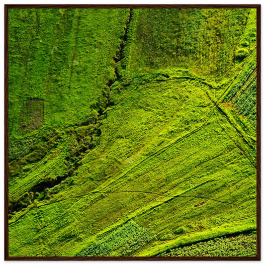 f56220f1-0198-4e2f-806a-1c6888904133