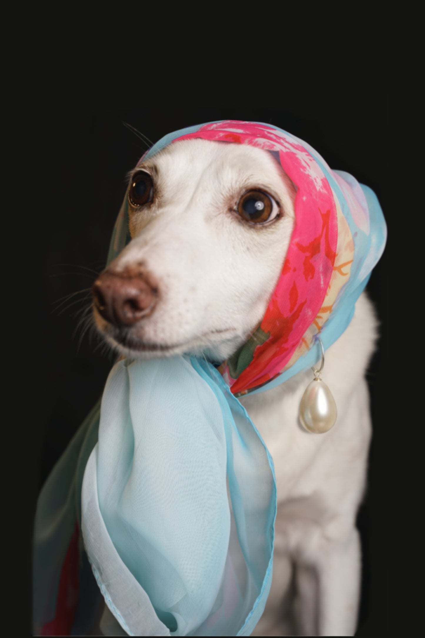 Girl with the pearl earring