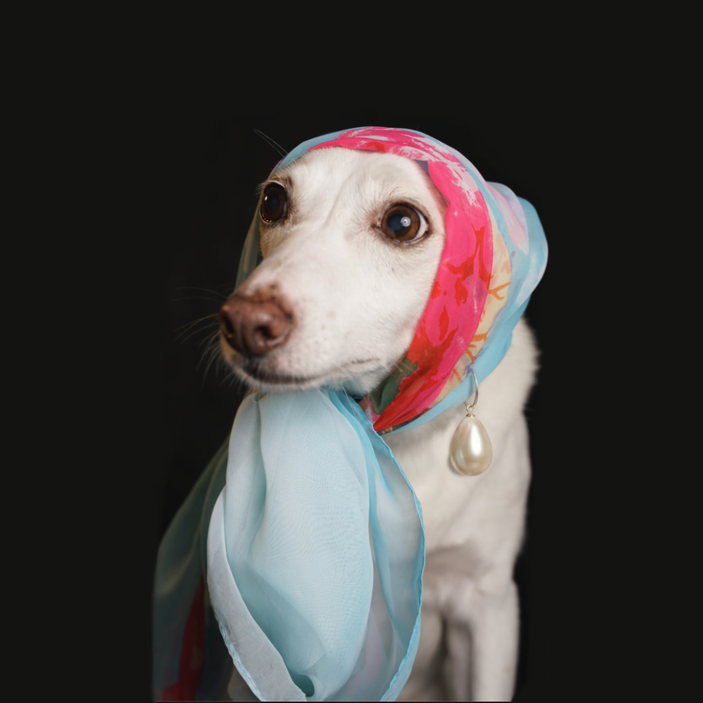Girl with the pearl earring